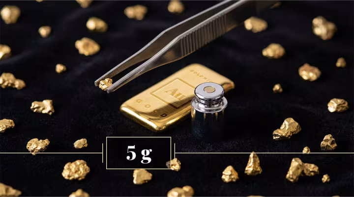 5 g Goldbarren von Goldmichi