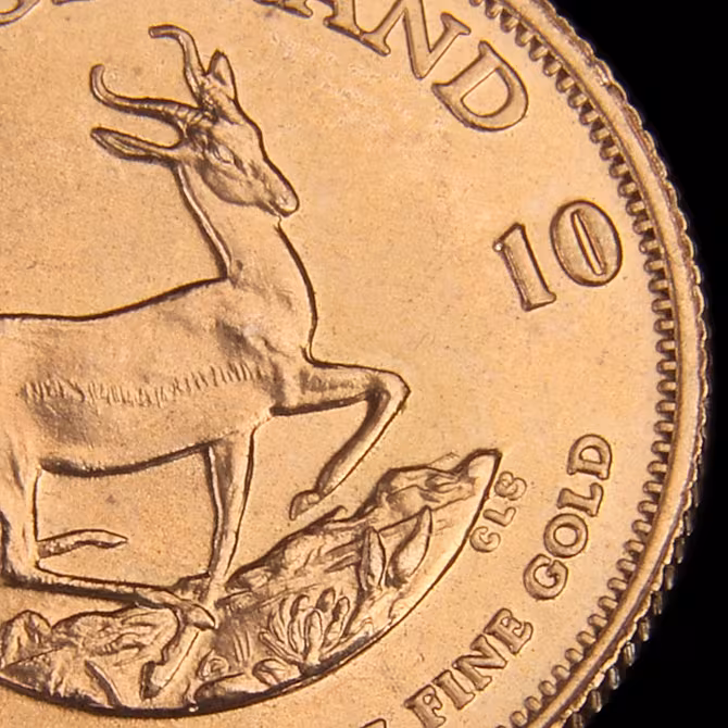 Krügerrand Goldmünze 1/10 oz Detailaufnahme Rückseite Springbock und Prägung