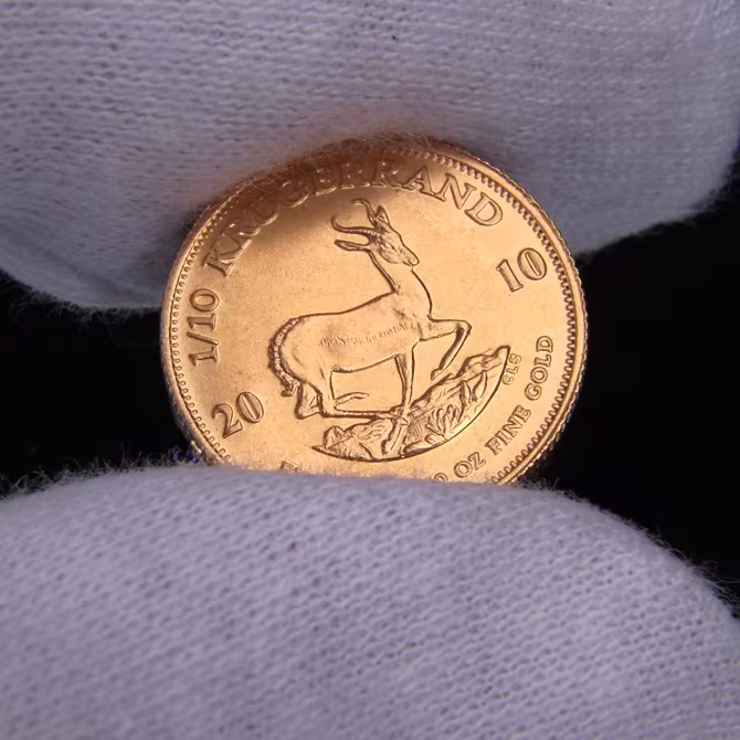 Krügerrand Goldmünze 1/10 oz in Handschuh gehalten, Rückseite mit Springbock