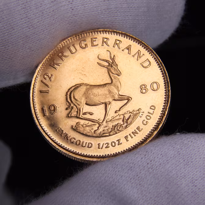 Krügerrand Goldmünze 1/2 oz 1980 Rückseite in Handschuh gehalten mit Springbock