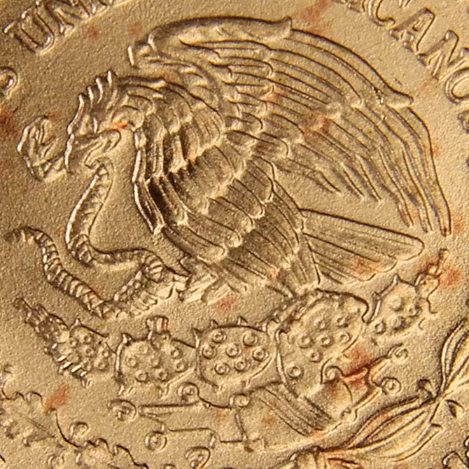 Libertad Goldmünze 1/10 oz Detailaufnahme Adler mit Schlange