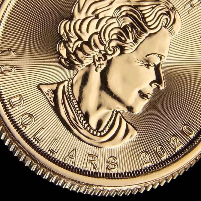 Royal Canadian Mint Maple Leaf Goldmünze 1/2 oz Detailaufnahme Queen Elizabeth II Portrait