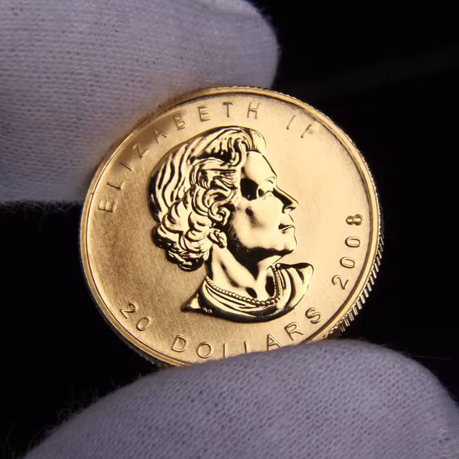 Royal Canadian Mint Maple Leaf Goldmünze 1/2 oz in Handschuh gehalten, Vorderseite