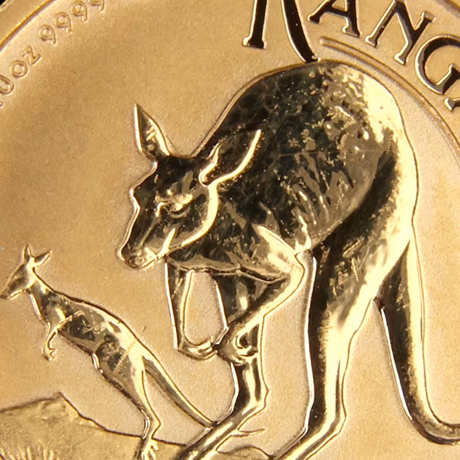 Perth Mint Känguru Goldmünze 1/10 oz 2022 Detailaufnahme Känguru mit Jungtier