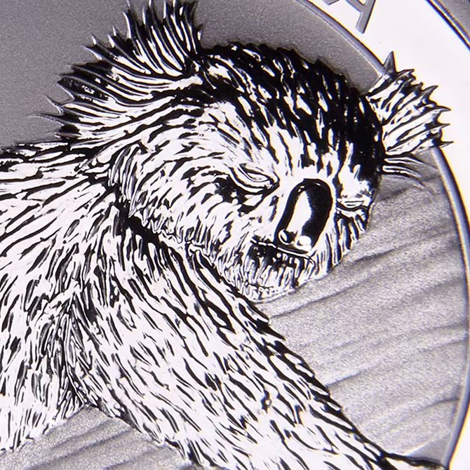 Perth Mint Australian Koala Silbermuenze 1 oz 2012 Detailansicht Koalakopf schlafend auf Ast schwarzer Hintergrund