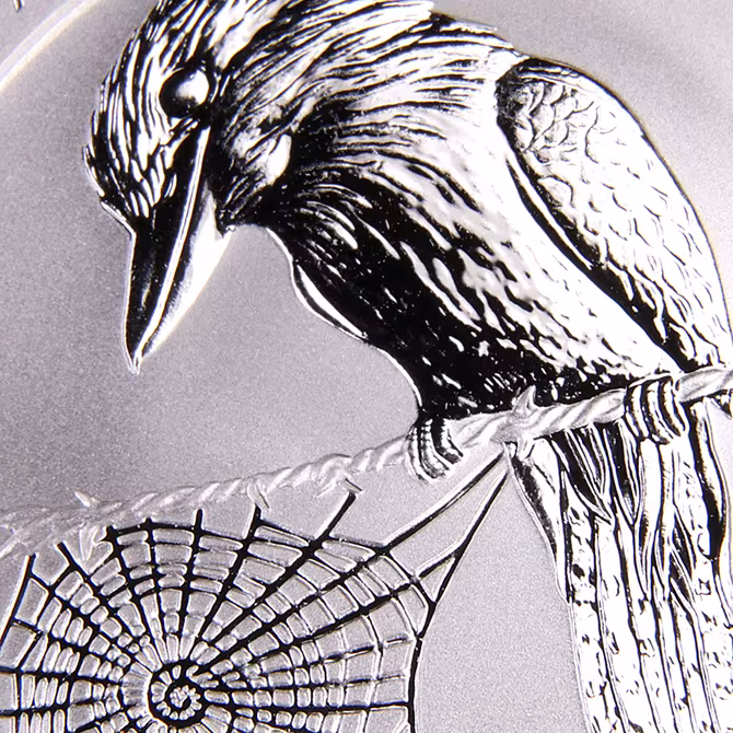 Perth Mint Australian Kookaburra Silbermuenze 1 oz 2008 Nahaufnahme Kookaburra-Kopf Spinnennetz Praegung