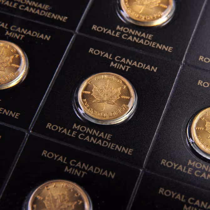 Royal Canadian Mint Maple Leaf Maplegram25 25x1g Detail Einzelmuenzen